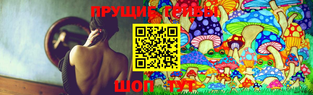 Апатиты  Псилоцибиновые грибы Cubensis  Вход с VPN 